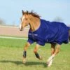 Horseware Ireland Amigo Hero 900 Turnout Medium 200g 2 Horseware Ireland Amigo Hero 900 Turnout Medium 200g -Saddlery Shop 121510 default l