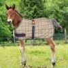 5/A Baker Expand-O Turnout Blanket 2 5/A Baker Expand-O Turnout Blanket -Saddlery Shop 129232 default l