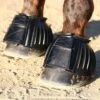 Professionals Choice Easy-On Rubber Bell Boots -Saddlery Shop 138046 default l