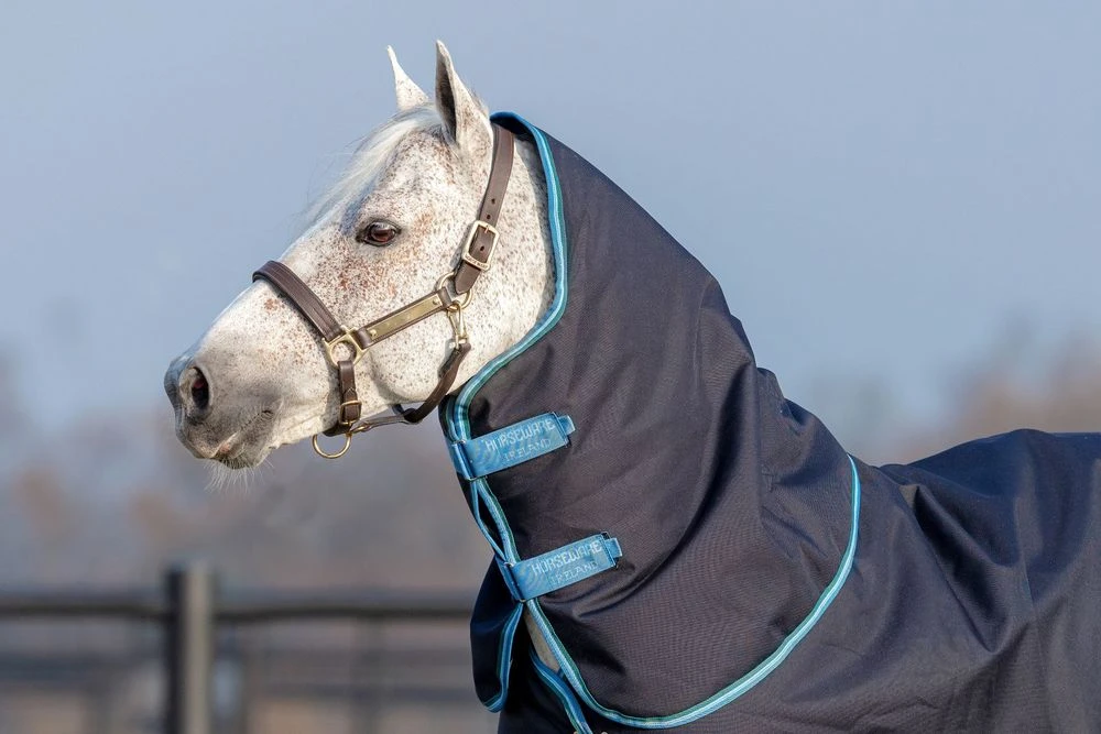 Horseware Ireland Amigo Bravo 12 T/O Hood 150g 3 Horseware Ireland Amigo Bravo 12 T/O Hood 150g