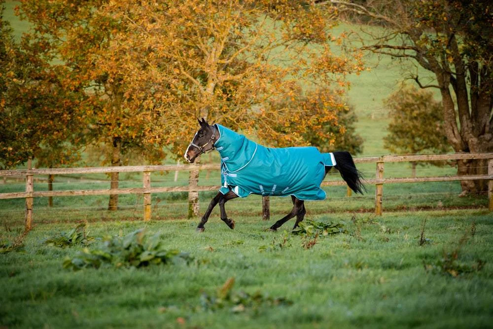 Horseware Ireland Amigo Bravo 12 Plus Heavy 400g 3 Horseware Ireland Amigo Bravo 12 Plus Heavy 400g