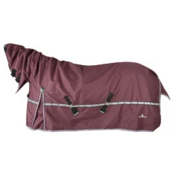 Classic 5K Cross Trainer Horse Blanket With Hood