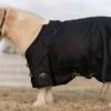 Professionals Choice Black 1200D Pony Winter Blanket -Saddlery Shop 214478 664428