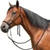 Mustang Bitless Bridle -Saddlery Shop 26249 default l