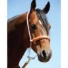Martin Saddlery Rope Headsetter With Leather Covered Nosepiece -Saddlery Shop 2765 default l