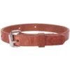 Double Diamond Halters Leather Buck Strap / Night Latch -Saddlery Shop 5752 default l