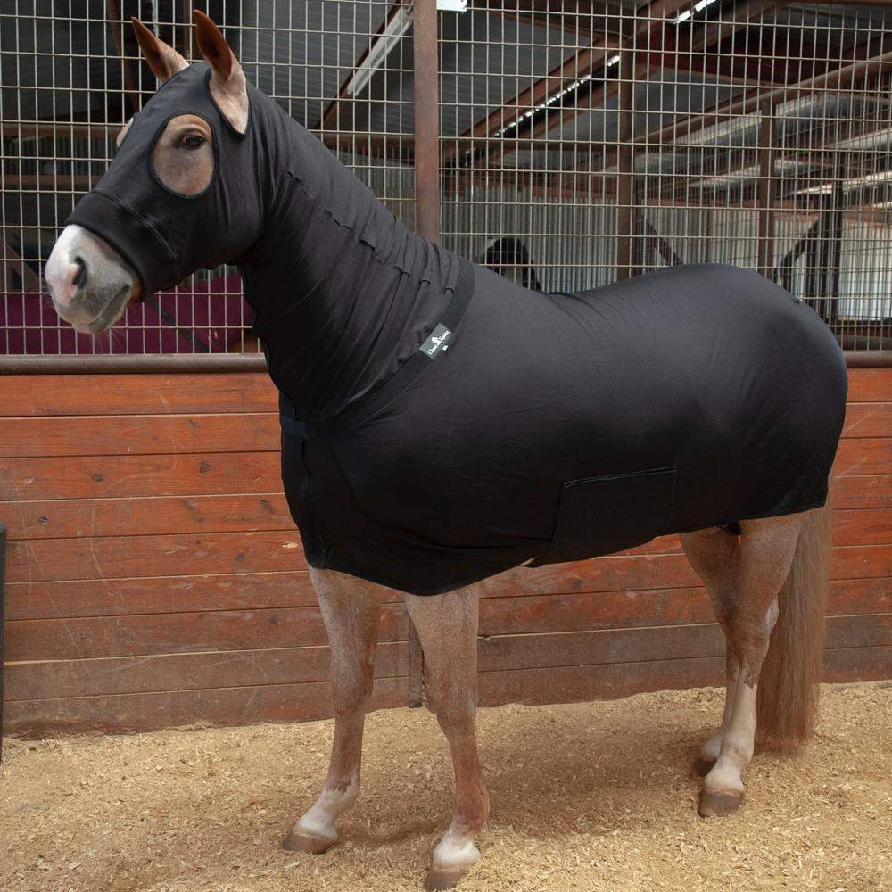 Sleazy Sleepwear For Horses Full Body Sleazy 18 Sleazy Sleepwear For Horses Full Body Sleazy - Image 16