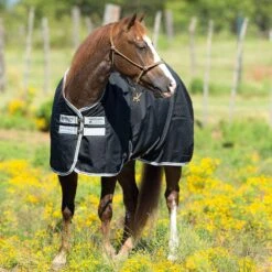 Horseware Amigo Stock Horse T/O Lite -Saddlery Shop AARA1S KI00 2