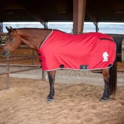 Classic Closed Front Stable Sheet -Saddlery Shop CENSC CHLI1