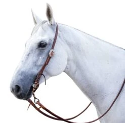 Nrs Tack 5/8in. Oiled Slot Ear Headstall With A Vine Buckle -Saddlery Shop NRS SLTEHO 410B 1