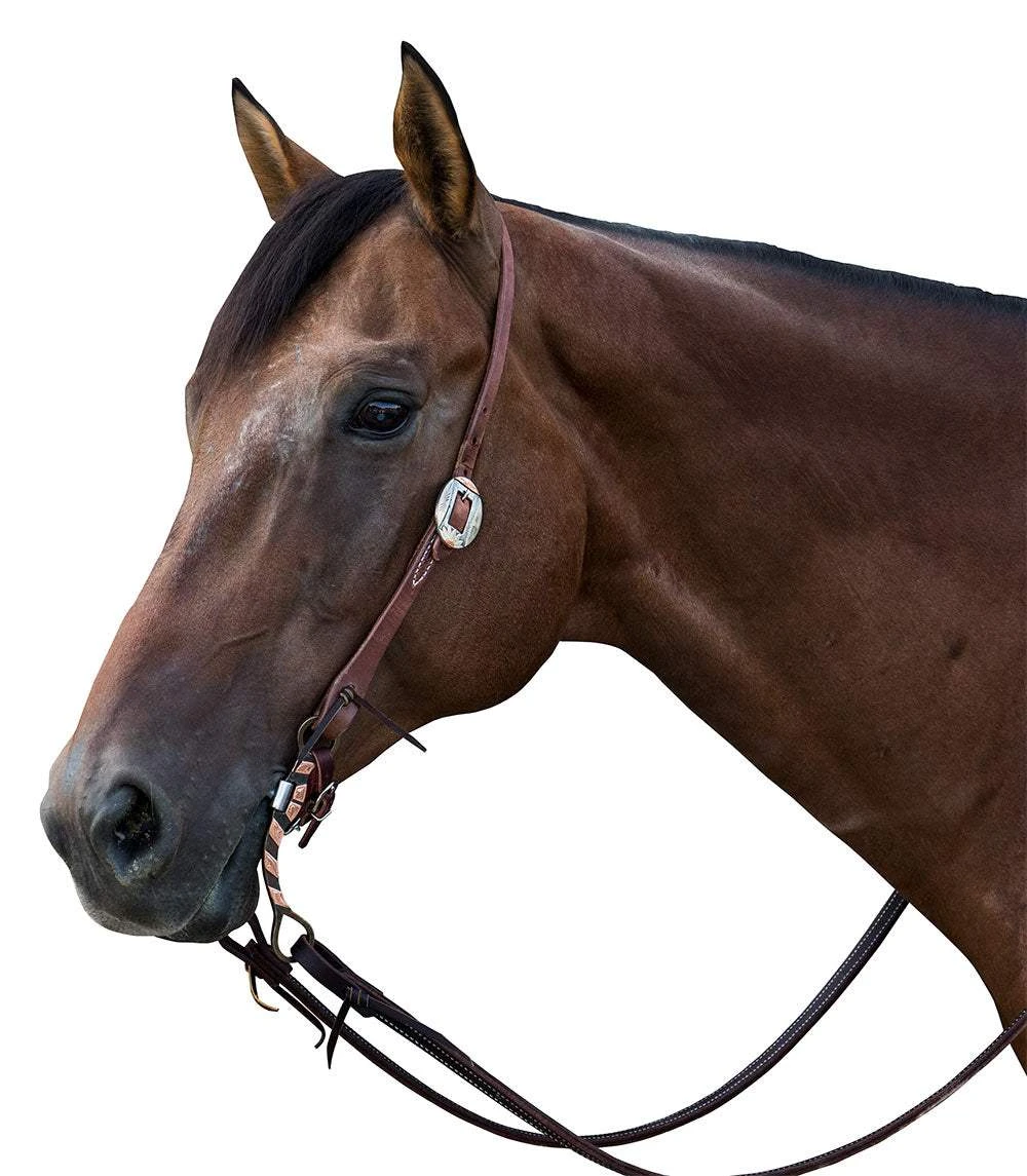 Nrs Tack Headstall With A Single Sunflower Buckle 5 Nrs Tack Headstall With A Single Sunflower Buckle - Image 3