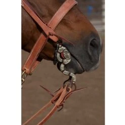 Blessing Bits Large Port 8 Inch Chain Bit -Saddlery Shop NRSTB06 image 1