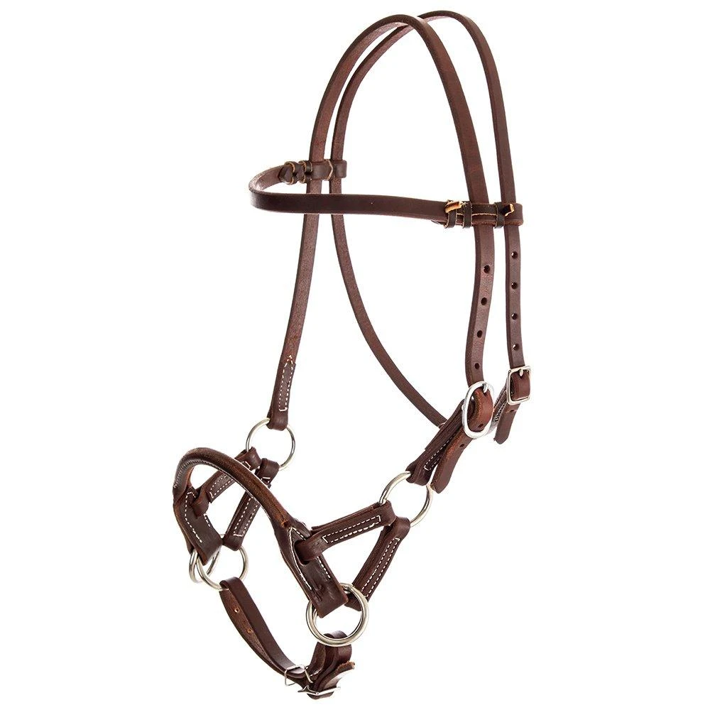 NRS Side Pull W/ Oiled Harness Leather 4 NRS Side Pull W/ Oiled Harness Leather - Image 2
