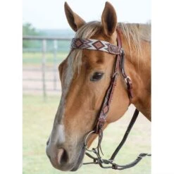 Circle Y Saddlery Infinity Beaded Browband Headstall -Saddlery Shop X0221 2004 2