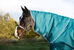 Horseware Ireland Amigo Bravo 12 Plus Heavy 400g 7 Horseware Ireland Amigo Bravo 12 Plus Heavy 400g -Saddlery Shop aarp74 gedc amigo bravo 12 plus turnout heavy 450g 20 8