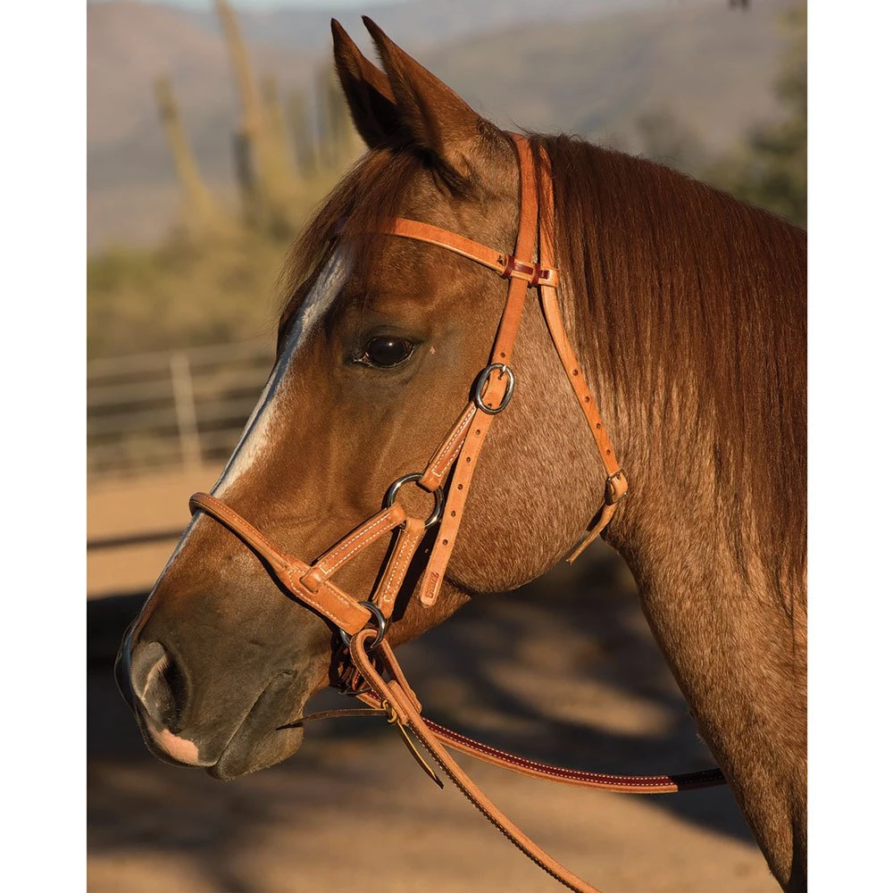 Professionals Choice Side Pull Round Leather Nose 3 Professionals Choice Side Pull Round Leather Nose