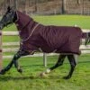 Horseware Amigo Hero Ripstop Plus Turnout 100g 2 Horseware Amigo Hero Ripstop Plus Turnout 100g -Saddlery Shop 121267 default l