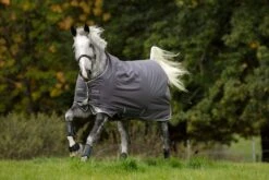 Horseware Ireland Amigo Bravo 12 Original Medium 250g