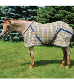 5/A Baker Stable Sheet