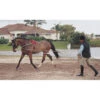 Pessoa Lunging System -Saddlery Shop 129250 default l