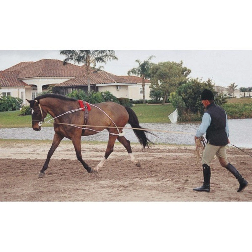 Pessoa Lunging System 3 Pessoa Lunging System