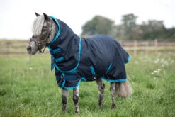 Horseware Amigo Hero 6 Petite Plus Turnout