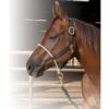 Professional's Choice Rope Nose Nylon Halter -Saddlery Shop 137207 default l 82ca84a6 68d8 493f 8861 37fbaa42f09e