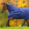 Horseware Ireland Amigo Hero All-in-One Turnout 200g -Saddlery Shop 156570 default l
