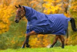 Horseware Ireland Amigo Hero All-in-One Turnout 200g