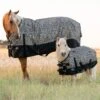 Professionals Choice Cheetah Pony Equisential 1200D Winter Blanket -Saddlery Shop 159823 default l