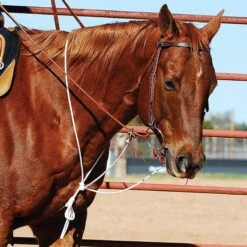 Martin Saddlery String Martingale
