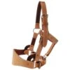 Leather Bronc Halter -Saddlery Shop 2420 default l