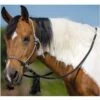 Mustang Co. Deluxe Bitless Bridle -Saddlery Shop 24570 default l