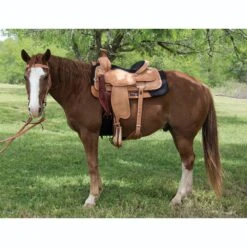 Circle Y Saddlery Guthrie Team Roper -Saddlery Shop 2778 2504 05 L2