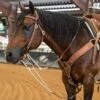 Nrs Tack Oiled Harness Leather Roping Rein German Martingale -Saddlery Shop 38363 default l