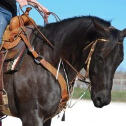 Nrs Tack String Martingale With Neck Piece