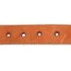 Professionals Choice Mens Sagebrush Spur Straps HL -Saddlery Shop 51ISuS1g7NL