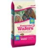 Manna Pro Peppermint Wafers 20lb -Saddlery Shop 52692 default l