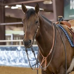 Professionals Choice Shutz Brothers Texas Training Fork -Saddlery Shop 8054 OnDrifter