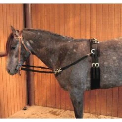 Mustang Nylon Horse Training Surcingle W/Liner -Saddlery Shop 8701 21