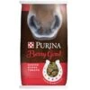 Purina Animal Nutrition Berry Good Senior Horse Treats 15lbs
