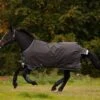 Horseware Ireland Amigo Bravo 12 Original Turn Out Lite 100g -Saddlery Shop AARA16 JCSK 2