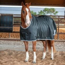 Classic Open Front Stable Sheet -Saddlery Shop CENS BLK