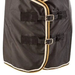 Classic Open Front Stable Sheet -Saddlery Shop CENS BLK GLD