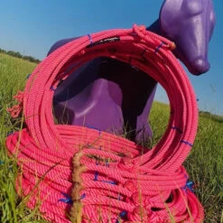 Willard Rope Company Pink Panther Calf Rope -Saddlery Shop WD PINKPANTHER Lifestyle