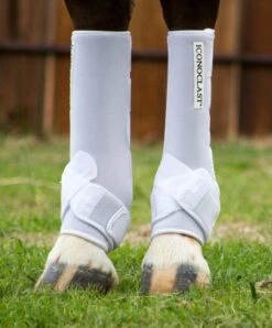 Iconoclast Hind TALL Orthopedic Support Boots 8 Iconoclast Hind TALL Orthopedic Support Boots -Saddlery Shop WL HT2 fromShopify 1