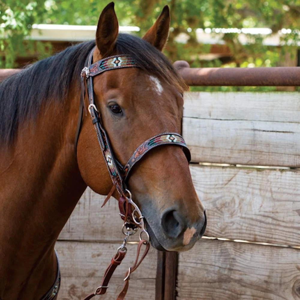 Circle Y Saddlery South West Beaded Browband Headstall 4 Circle Y Saddlery South West Beaded Browband Headstall - Image 2