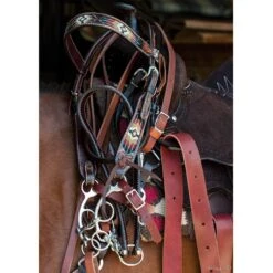 Circle Y Saddlery South West Beaded Browband Headstall 8 Circle Y Saddlery South West Beaded Browband Headstall -Saddlery Shop X0216 600V 2