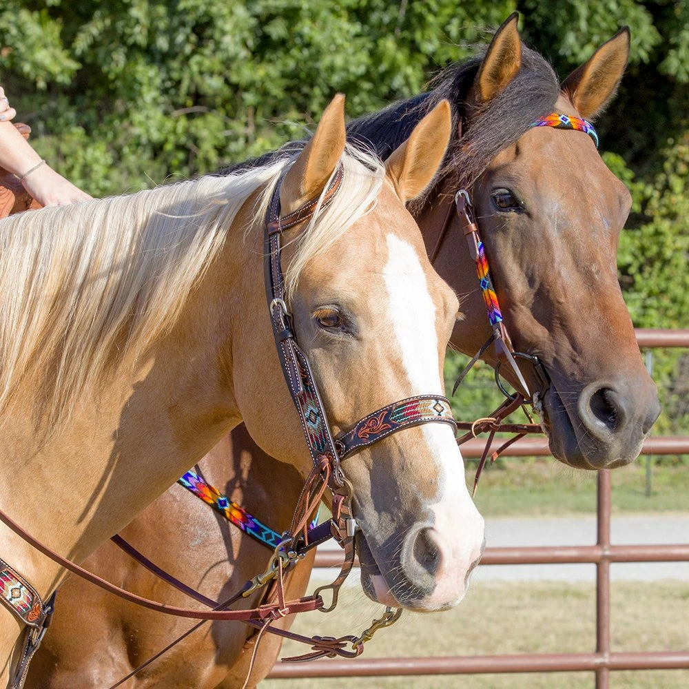 Circle Y Saddlery South West Beaded Browband Headstall 6 Circle Y Saddlery South West Beaded Browband Headstall - Image 4