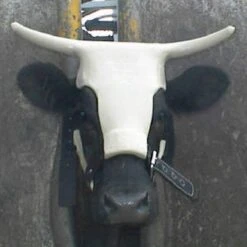 Saddlery Shop -Saddlery Shop ropinghorn1